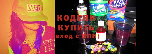 индика Бронницы