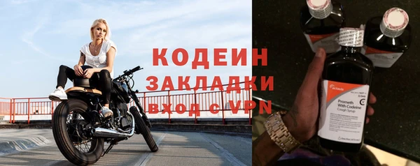 индика Бронницы