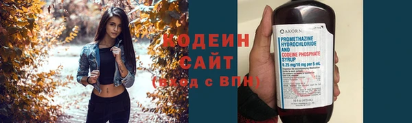 индика Бронницы