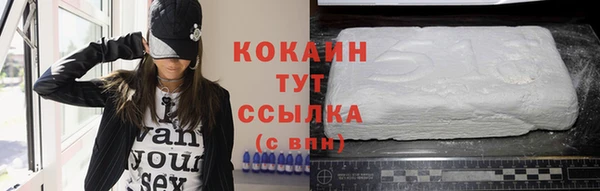 2c-b Бородино