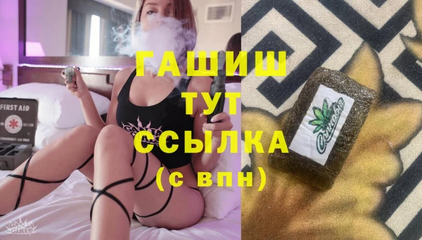 индика Бронницы