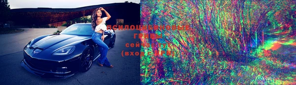 индика Бронницы