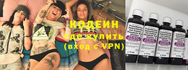 стаф Верея