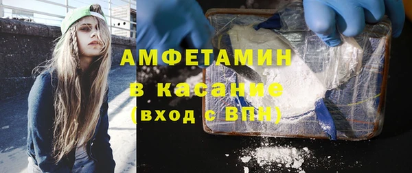 стаф Верея
