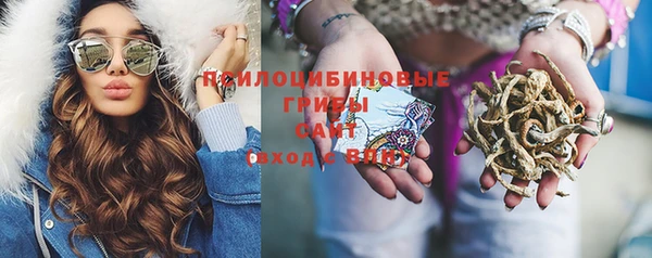 индика Бронницы