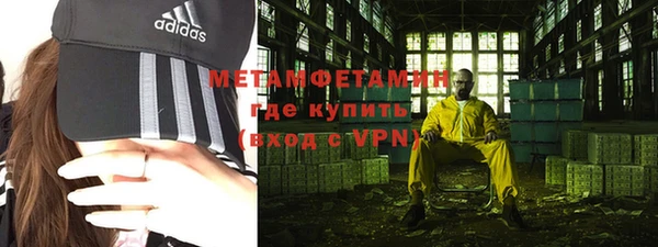 индика Бронницы