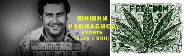 стаф Верея