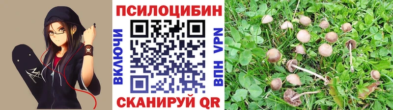 Галлюциногенные грибы мицелий  продажа наркотиков  ОМГ ОМГ ссылки  Микунь 